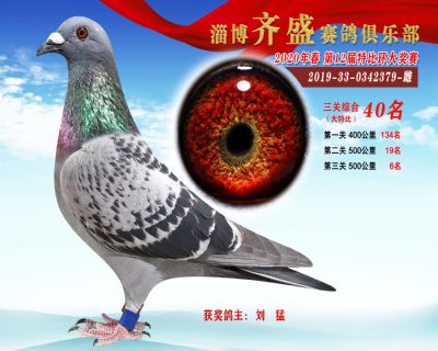 淄博齊盛大特比綜合40名