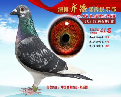 淄博齊盛大特比綜合41名