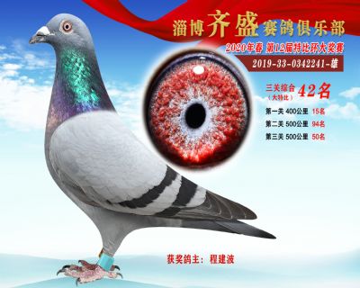 淄博齊盛大特比綜合42名