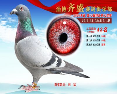 淄博齊盛大特比綜合43名