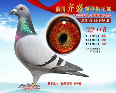 淄博齊盛大特比綜合44名