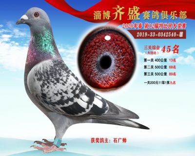 淄博齊盛大特比綜合45名