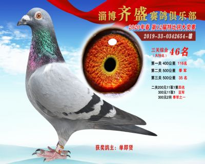 淄博齊盛大特比綜合46名