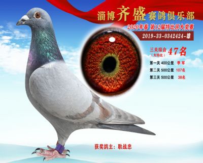 淄博齊盛大特比綜合47名