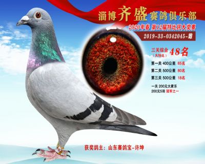 淄博齊盛大特比綜合48名