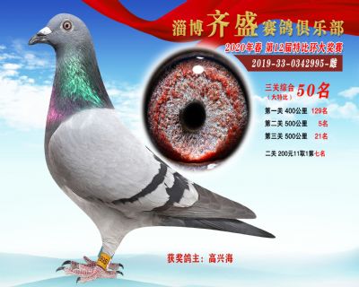 淄博齊盛大特比綜合50名