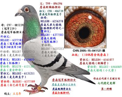本舍基礎種雌(純詹森)