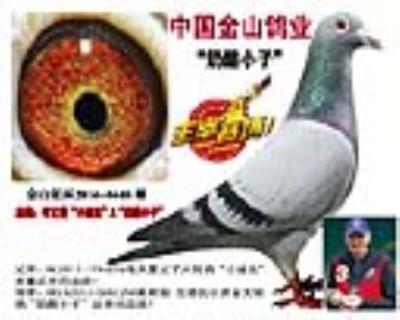 考夫曼“小迪克”X“奶酪小子”