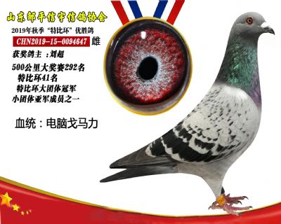 電腦小旋風