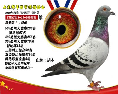 胡本藝術家