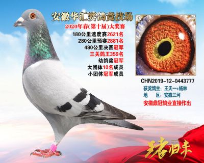 安徽華匯決賽冠軍