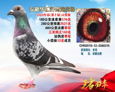 安徽華匯決賽季軍
