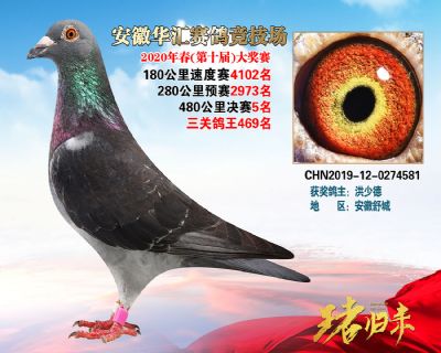 安徽華匯決賽5名