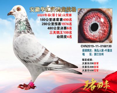 安徽華匯決賽6名
