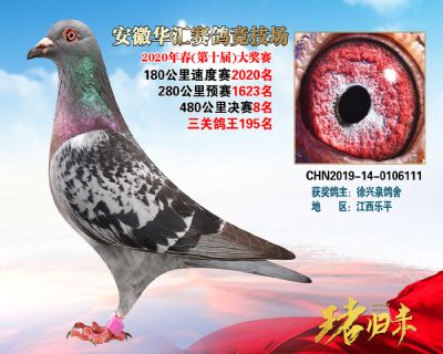 安徽華匯決賽8名
