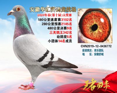 安徽華匯決賽9名