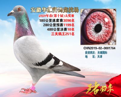 安徽華匯決賽10名