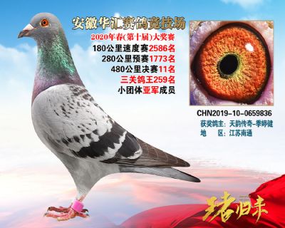 安徽華匯決賽11名