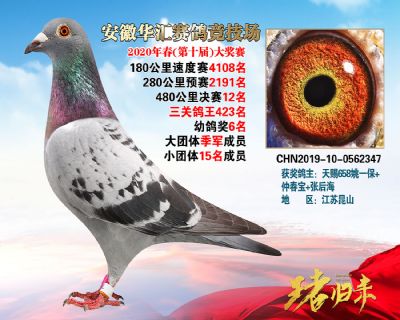 安徽華匯決賽12名