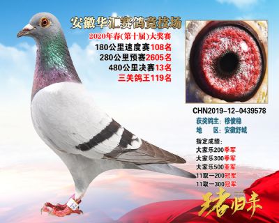 安徽華匯決賽13名