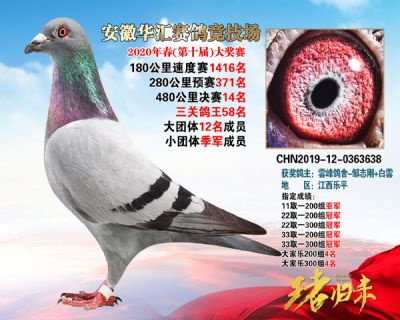 安徽華匯決賽14名