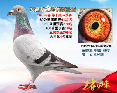 安徽華匯決賽18名