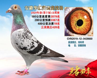 安徽華匯決賽19名