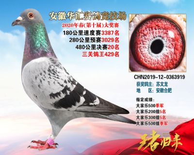 安徽華匯決賽20名