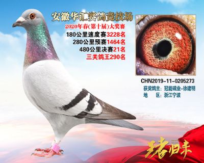 安徽華匯決賽21名