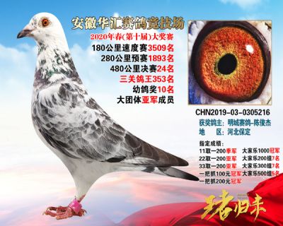 安徽華匯決賽24名