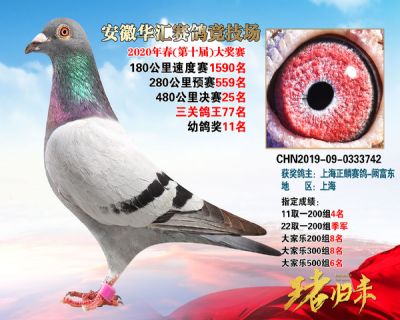 安徽華匯決賽25名