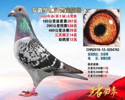 安徽華匯決賽29名