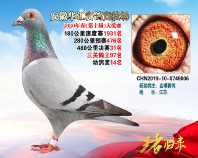 安徽華匯決賽31名