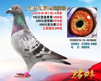 安徽華匯決賽32名