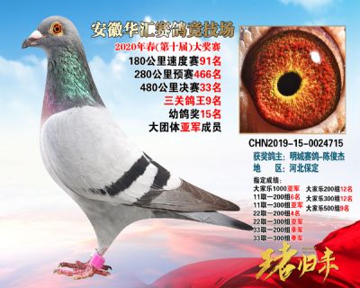 安徽華匯決賽33名