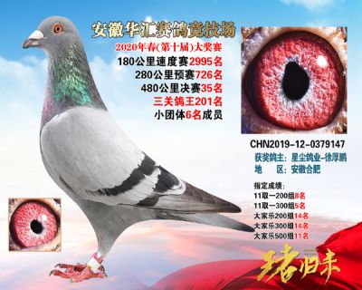 安徽華匯決賽35名