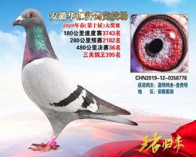 安徽華匯決賽36名
