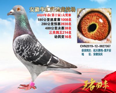 安徽華匯決賽38名