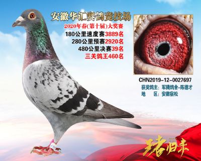 安徽華匯決賽39名
