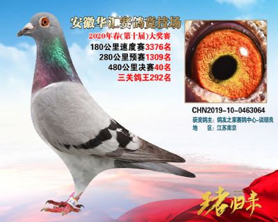 安徽華匯決賽40名