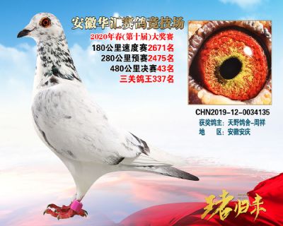 安徽華匯決賽43名