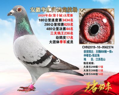 安徽華匯決賽44名