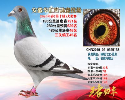 安徽華匯決賽46名