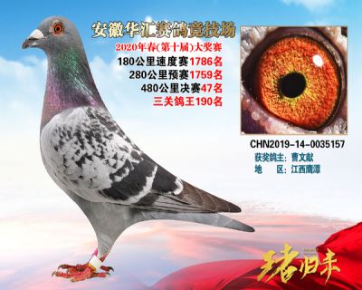 安徽華匯決賽47名
