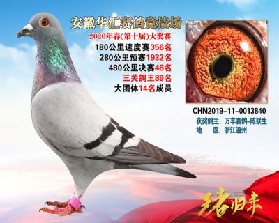 安徽華匯決賽48名