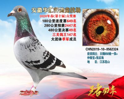 安徽華匯決賽49名