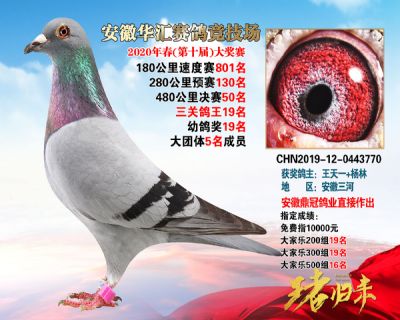安徽華匯決賽50名