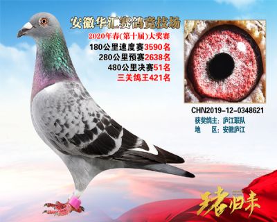 安徽華匯決賽51名