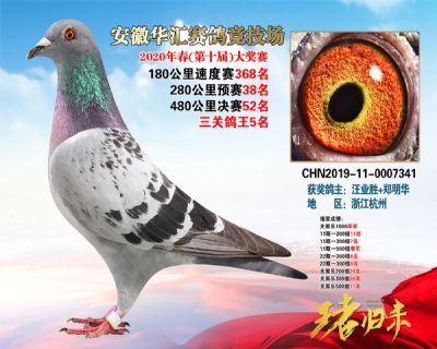 安徽華匯決賽52名