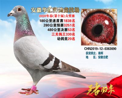 安徽華匯決賽53名